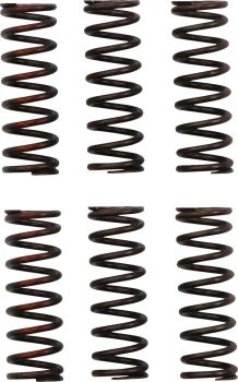 CLUTCH SPRING CRF450R