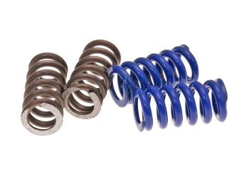 clutch spring kit for Polini Speed ??Clutch 2G EVO2, 2 pair