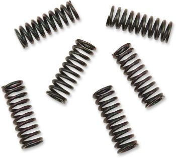 CLUTCH SPRING KIT YAM