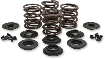 SPRING KIT VLV OE 66-83BT