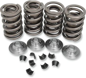 SPRING KIT VLV OE 48-65BT