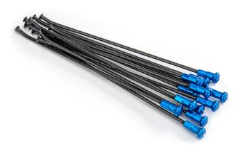 SPOKES 19 RR BK / BL NI 12PC