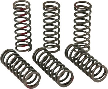 CLUTCH SPRINGS CRF450R