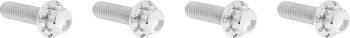 BOLT KIT TITANIUM - M8 24-25 -
