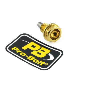 BOLT DRAIN 12X1.5X15 GOLD