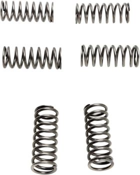 CLUTCH SPRING SET (6 PCS)