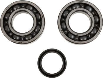 CRANK BEARING SEAL KIT